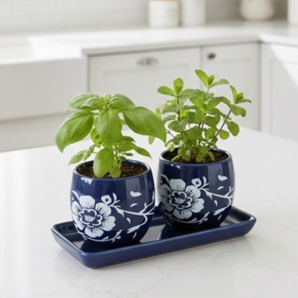 Summer & Rose Blue Floral Planter Set